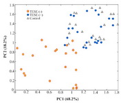 Figure 1. The results of principle component (PC) analysis of the data matrix of fertile (▲), TESE (●) versus TESE(-) (*). Each patient was analyzed in triplicate