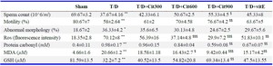 Table 2. The effect of T/D and Citrulline on sperm analysis and oxidative stress parameters
Sperm analysis and oxidative stress factors including ROS, protein carbonyl, MDA, and GSH were evaluated in the following groups: Sham, torsion/detorsion (T/D), torsion/detorsion with different doses of Citrulline (T/D+Cit), and torsion/detorsion plus vitamin E (T/D+vitE). Data are expressed as mean&plusmn;SD
* Significantly different from Sham group (p&lt;0.01)
** Significantly different from Sham group (p&lt;0.01)
$ Significantly different from T/D group (p&lt;0.05)
$$ Significantly different from T/D group (p&lt;0.01)
$$$ Significantly different from T/D group (p&lt;0.001)