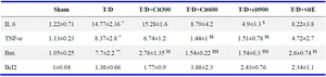 Table 3. The effect of T/D and Citrulline on expression of inflammatory and apoptosis factors in testicular tissue of male rats
Gene expression of inflammatory factors (TNF-&alpha; and IL-6) and apoptosis factors (BAX and Bcl2) were evaluated in the following groups: Sham, T/D, T/D with different doses of Citrulline (T/D+Cit), and T/D plus vitE (T/D+vitE). Data are expressed as mean&plusmn;SD
* Significantly different from Sham group (p&lt;0.01)
** Significantly different from Sham group (p&lt;0.01)
$ Significantly different from T/D group (p&lt;0.05)
$$ Significantly different from T/D group (p&lt;0.01)
$$$ Significantly different from T/D group (p&lt;0.001)